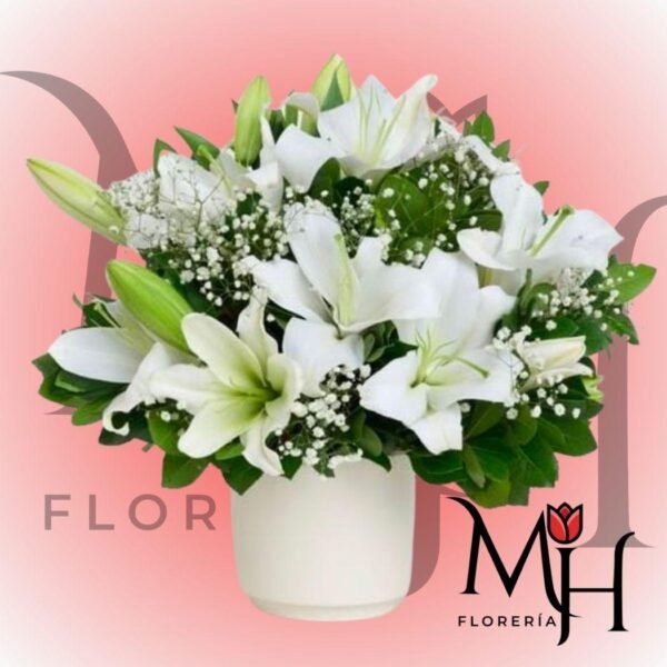 Box de 20 Lilium, Gypsophila y follaje