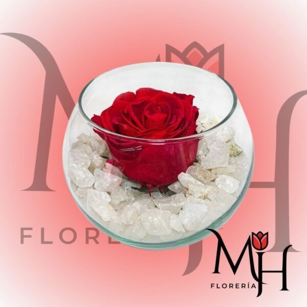 Rosa Preservada en pecera con piedras de cuarzo