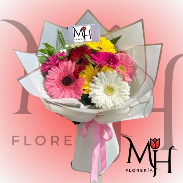Ramo 8 gerberas