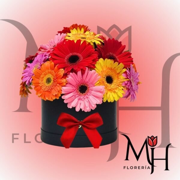 Box con 12 gerberas